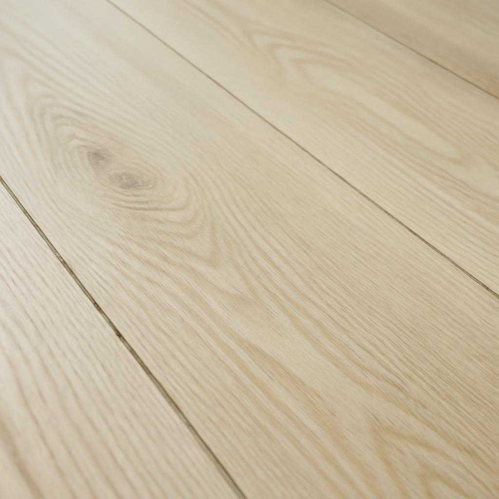 беленый дуб